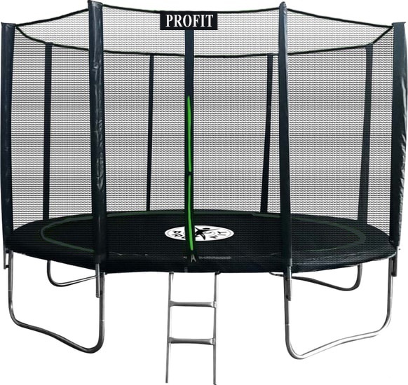 Батут ProFit Premium Black 312см Pro (с внешней сеткой и лестницей)