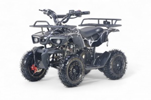 Детский квадроцикл RiverToys TIGER (черный spider) Бензиновый - фото