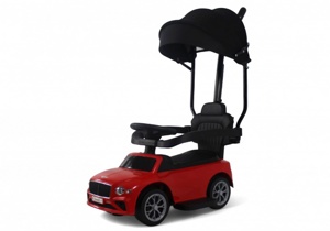 Детский толокар RiverToys Z005ZZ-T (розовый) - фото