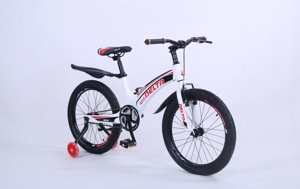 Детский велосипед Delta Prestige Maxx 20 2022 (белый) спицы, магниевая рама - фото