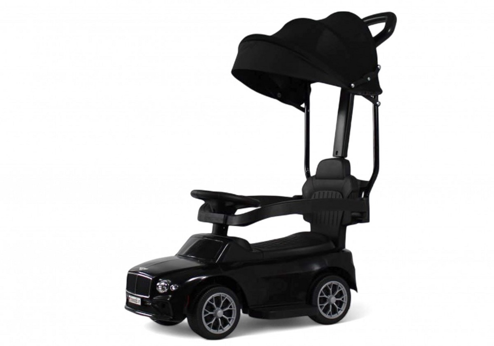 Детский толокар RiverToys Z005ZZ-T (черный) Детский толокар RiverToys Z005ZZ-T (черный)