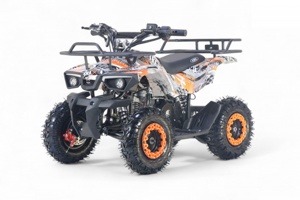Детский квадроцикл RiverToys TIGER (оранжевый) Бензиновый - фото