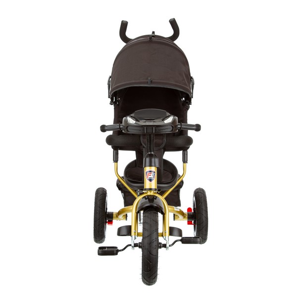 Трехколесный велосипед TRIKE Formula FA3GB-1 (черно-золотой) с фарой фото-3