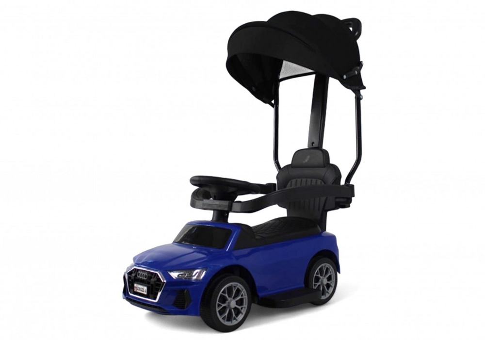 Детский толокар RiverToys Z005ZZ-A (синий)