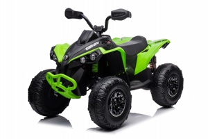 Детский электроквадроцикл RiverToys BRP Can-Am Renegade Y333YY (зеленый) Лицензия - фото