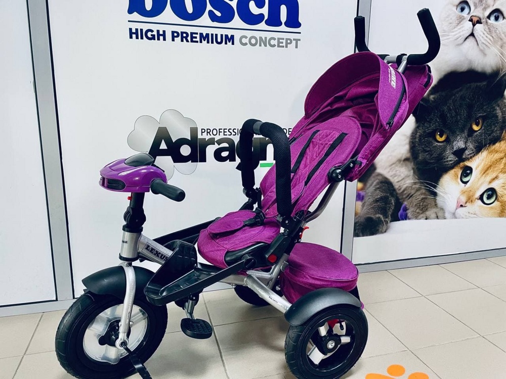 Детский велосипед Lexus Trike Baby Comfort (фиолетовый) - фото3