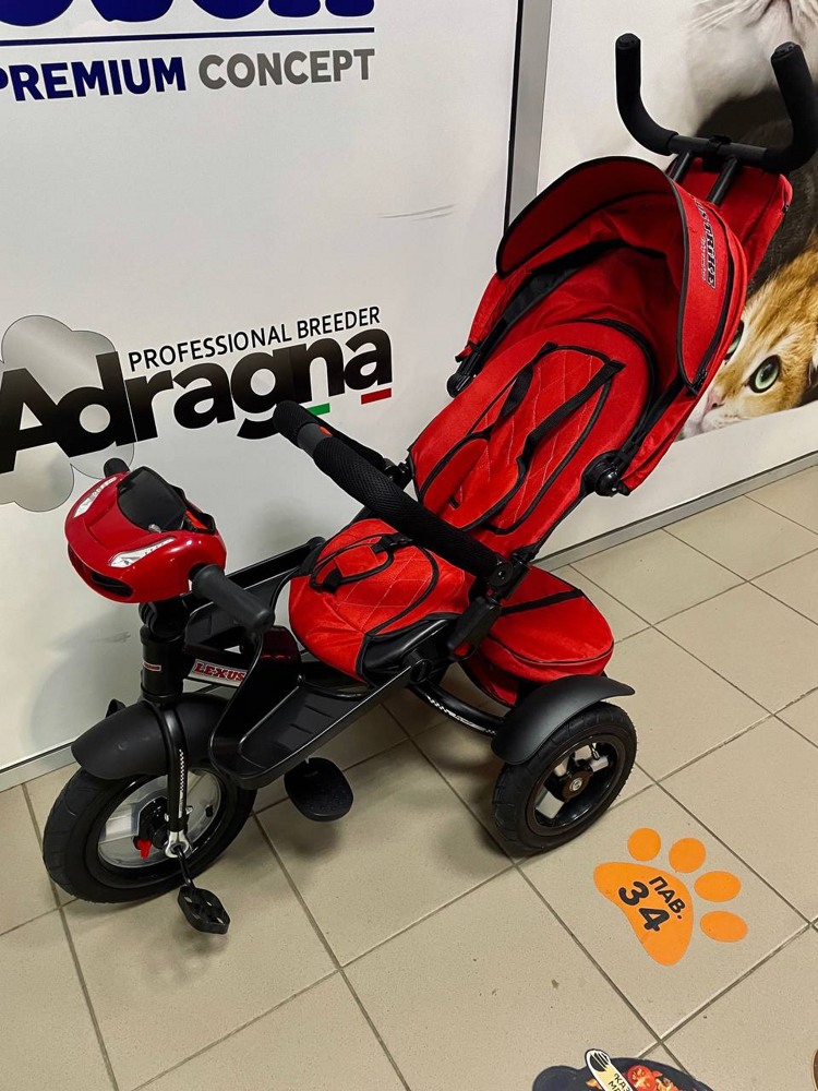 Детский велосипед Lexus Trike Baby Comfort (красный) - фото6
