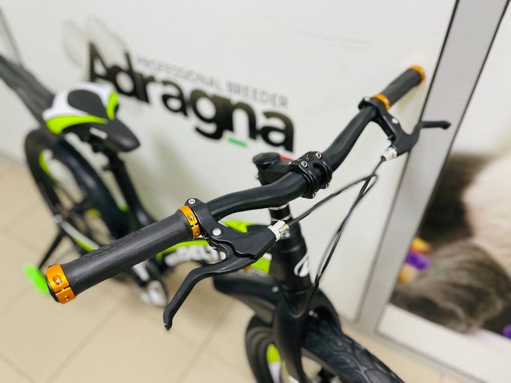Детский велосипед Delta Prestige Maxx D 20 2022 (черный/зеленый, литые диски) магниевая рама, вилка и колеса - фото4