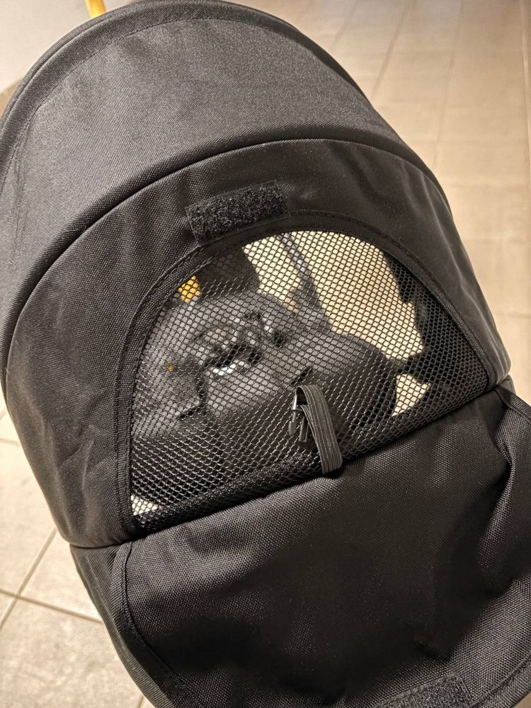 Складной трёхколёсный велосипед Qplay Nova Plus1GLD (чёрный/золотистый) фото-4 Складной трёхколёсный велосипед Qplay Nova Plus1GLD (чёрный/золотистый) фото-4