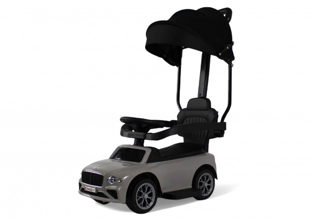 Детский толокар RiverToys Z005ZZ-T (серый)