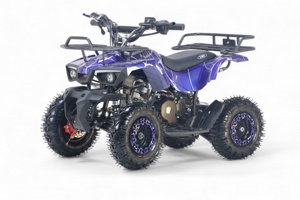 Детский квадроцикл RiverToys TIGER (синий spider) Бензиновый - фото