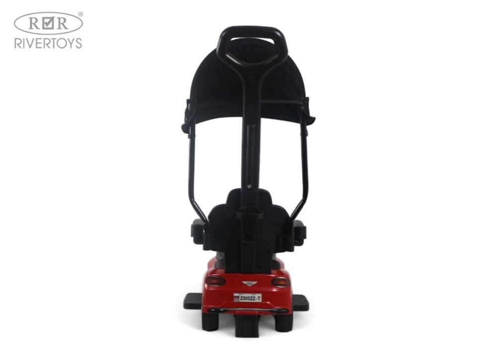 Детский толокар RiverToys Z005ZZ-T (розовый) - фото6